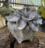 Céleste Céramique - Handcrafted Ceramic Planter