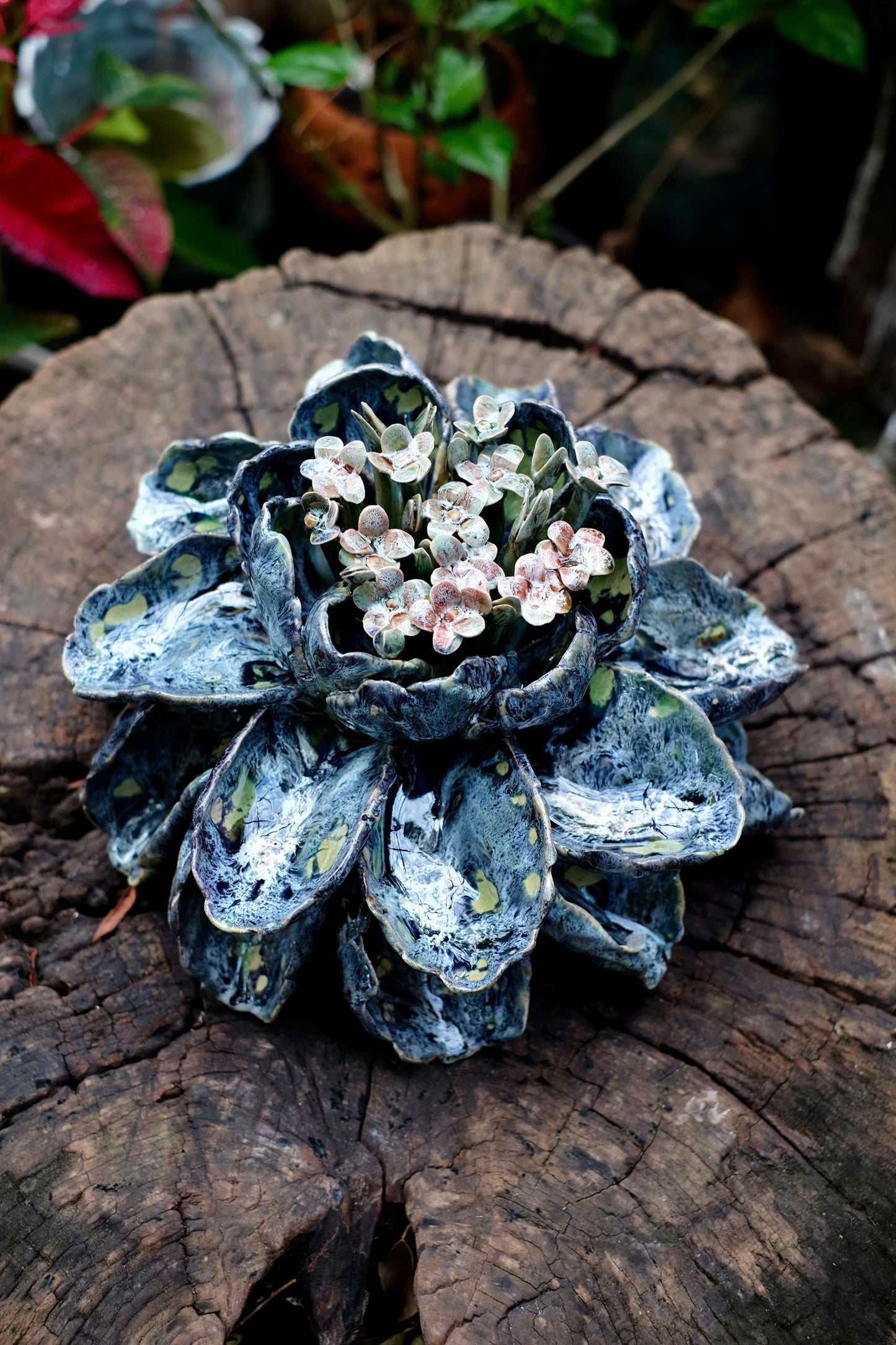Céleste Céramique - Handcrafted Ceramic Succulent Sculpture