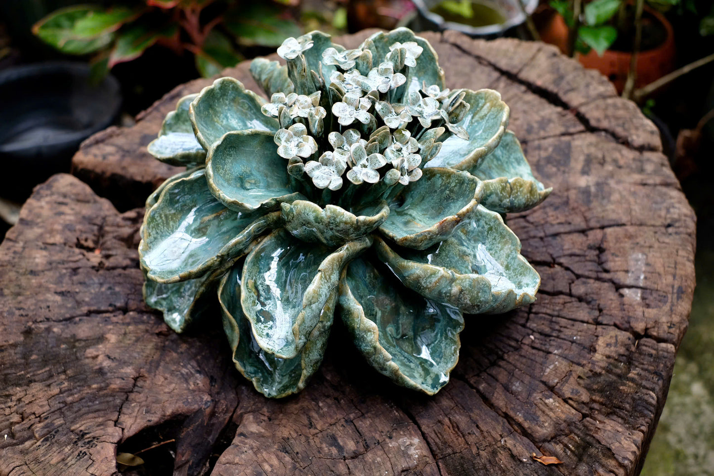 Céleste Céramique - Handcrafted Ceramic Succulent Sculpture